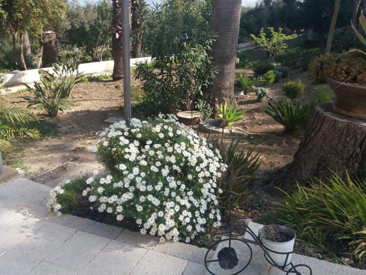 ולדריצ'ה Villa Fontana מראה חיצוני תמונה